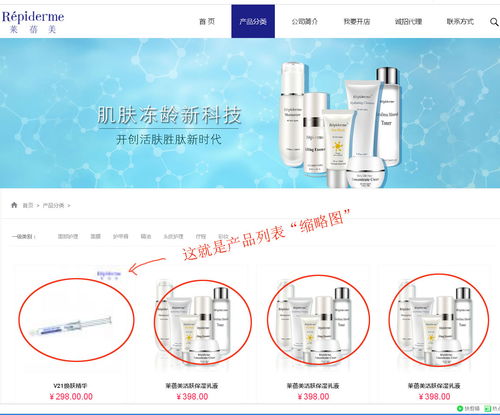 上海派網 一站式網站建設與SEO優(yōu)化專家，助力企業(yè)在滬騰飛
