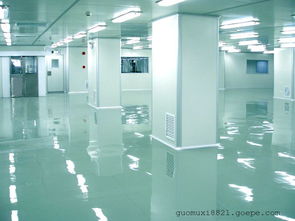 東莞潔凈車間,食品車間凈化制藥廠房?jī)艋こ虉D片 高清大圖 谷瀑環(huán)保